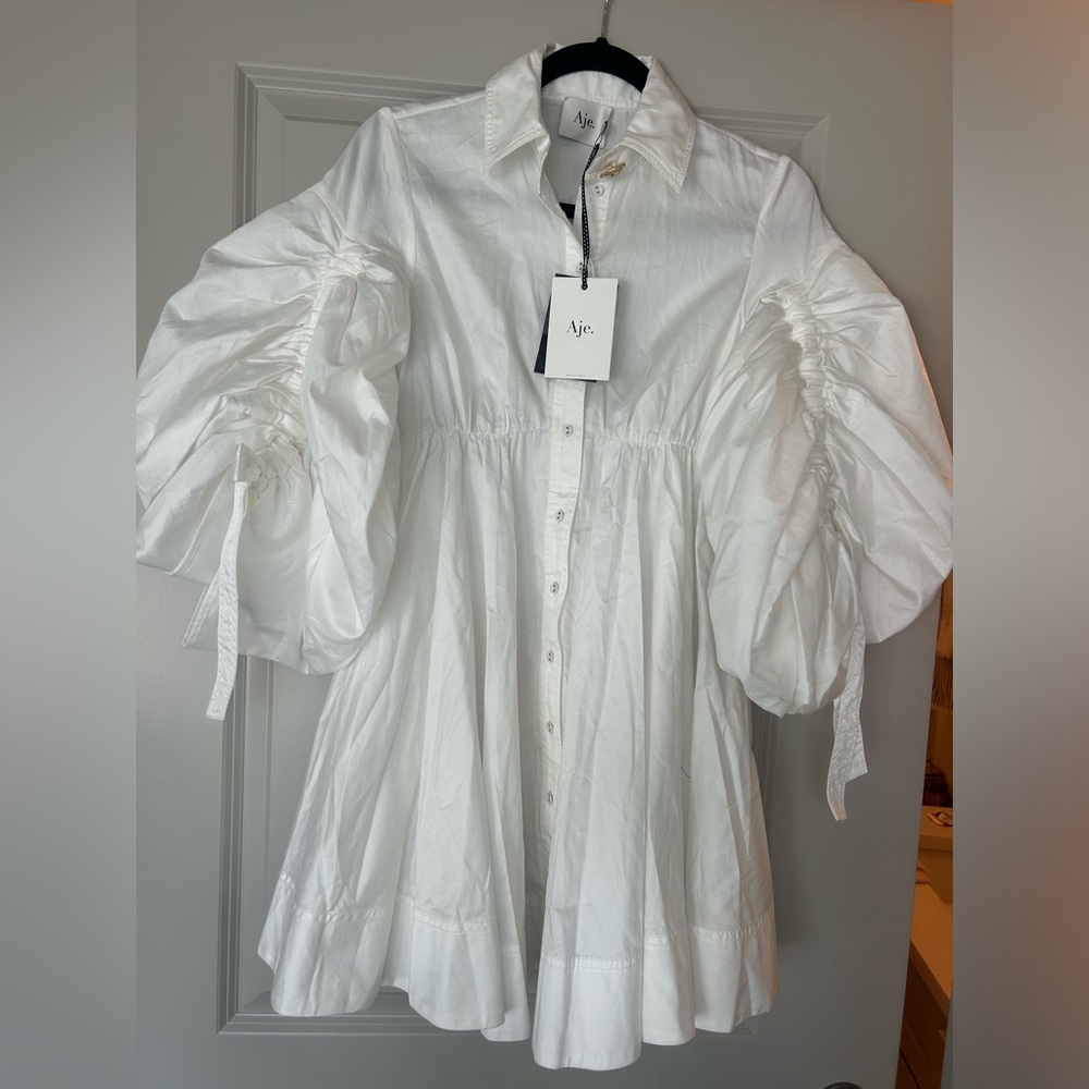 AJE Utopia Drawstring Mini Dress